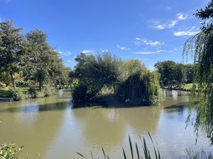 HOMESTEAD LAKE- click for photo gallery